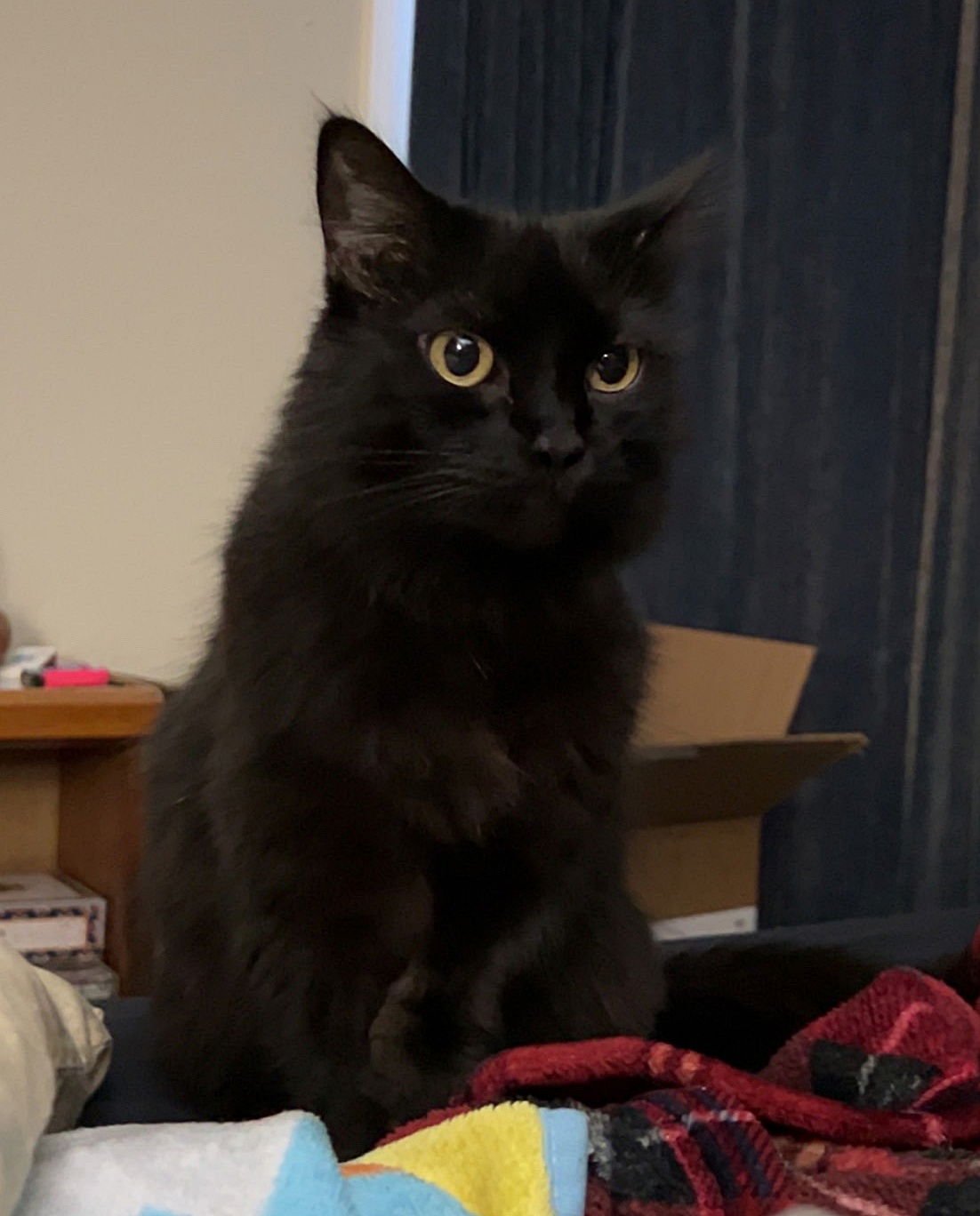 DELILAH #1815 - Offered by Owner - Photo 2