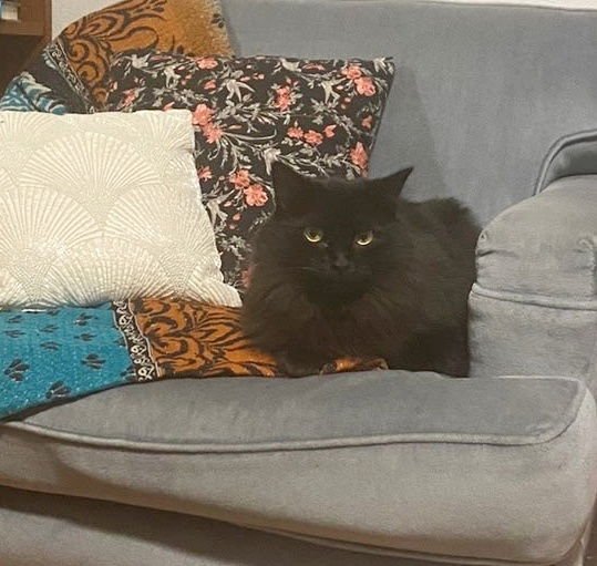 DELILAH #1815 - Offered by Owner - Photo 3