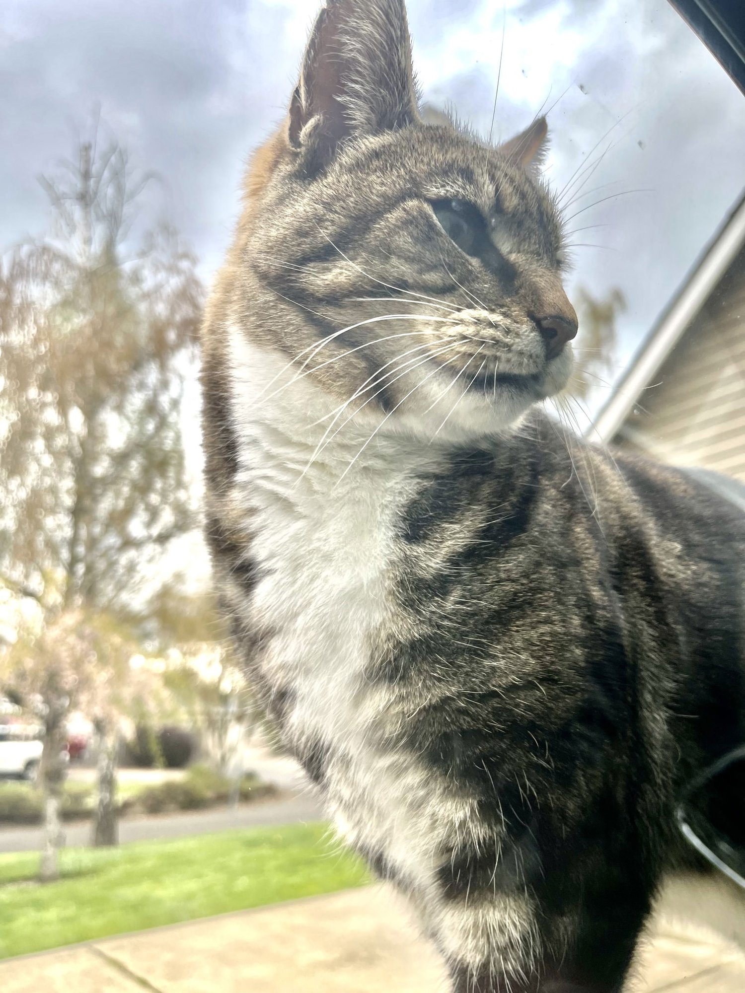 CAPER #1789 - Offered by Owner - Senior in/out - Photo 3