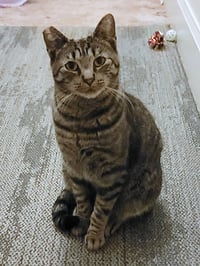 PEPPER #1920 - Offered by Owner - Photo 3
