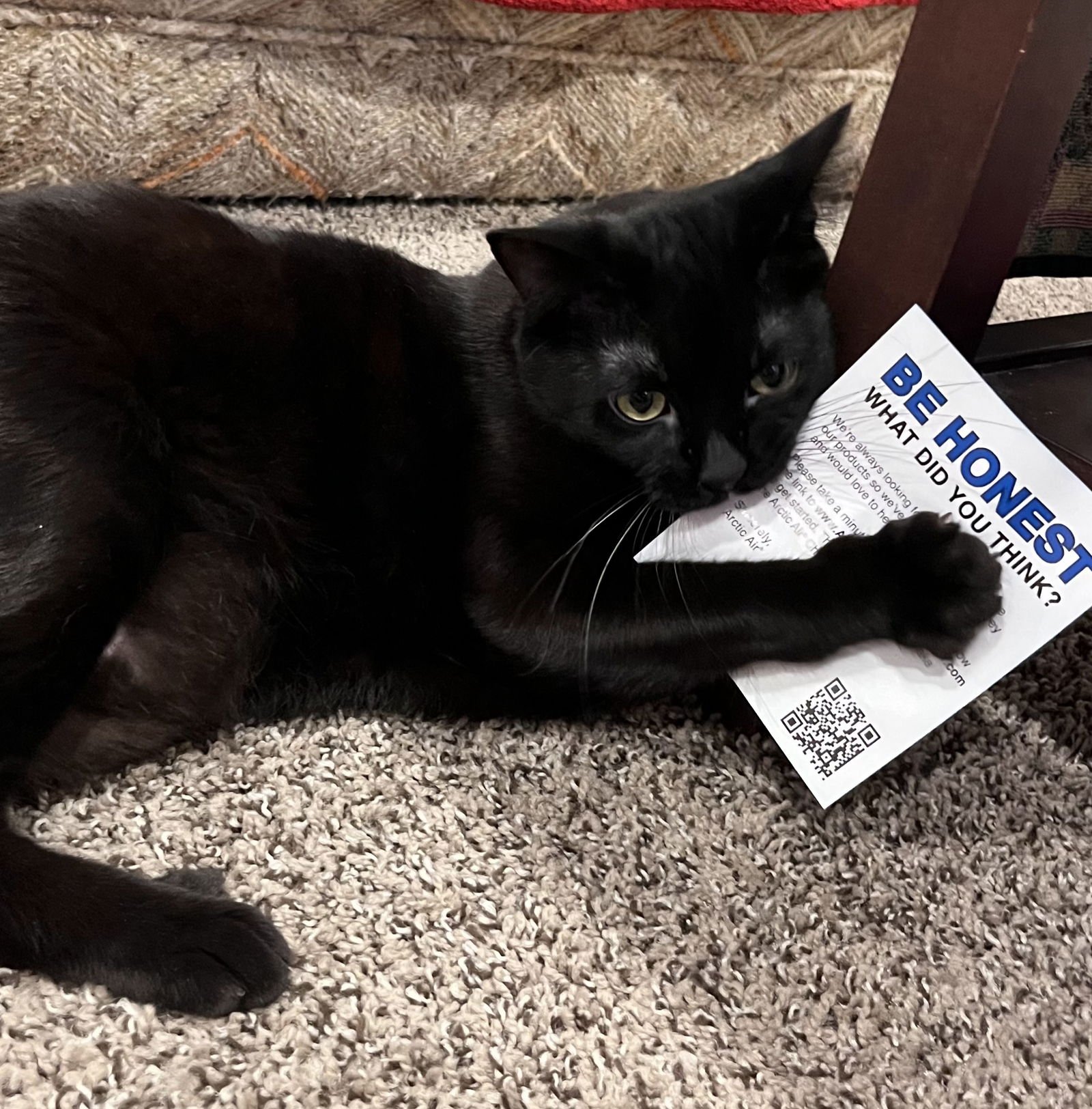 CHURCH #1765A - Young Adult Male - Photo 3