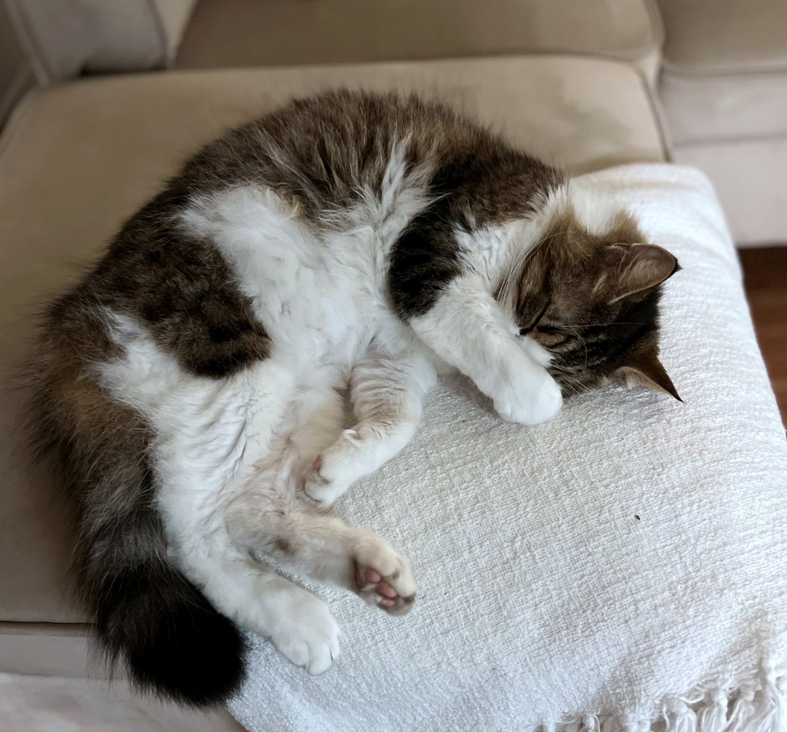 GEORGE #1835 - Offered by Owner - In/Out - Photo 3