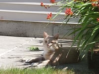 KOVU #2010 - Offered by Owner - Photo 5