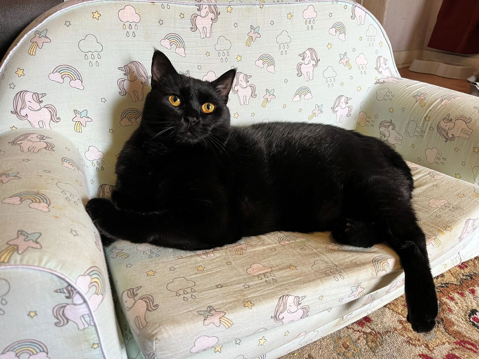 GOOSE & MOXIE#1808 Offered by Owner - Sister Pair - Photo 2