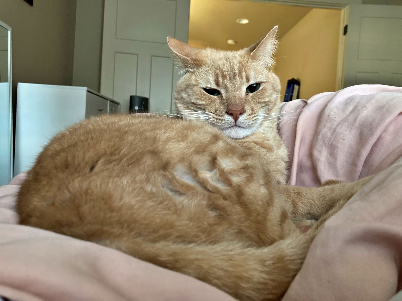 LUNA & DEWEY #1799 - Offered by Owner - Bonded - Photo 2