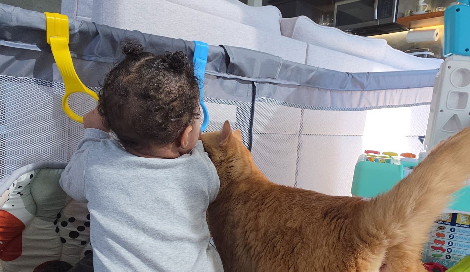 SIMBA #1777 - Offered by Owner - Photo 3