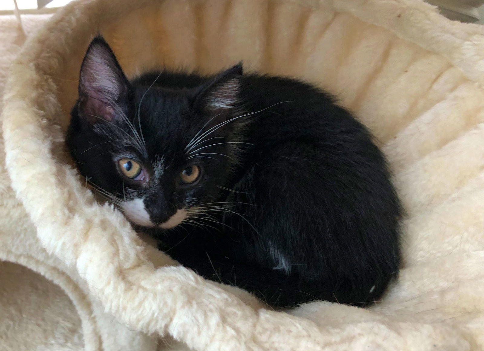 LUCY #1785 - Offered by Owner - - Photo 4