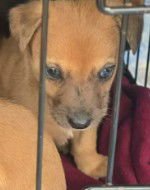 F18 Navy Bean (Pending) - Photo 2