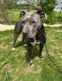 ReRe - Photo 1