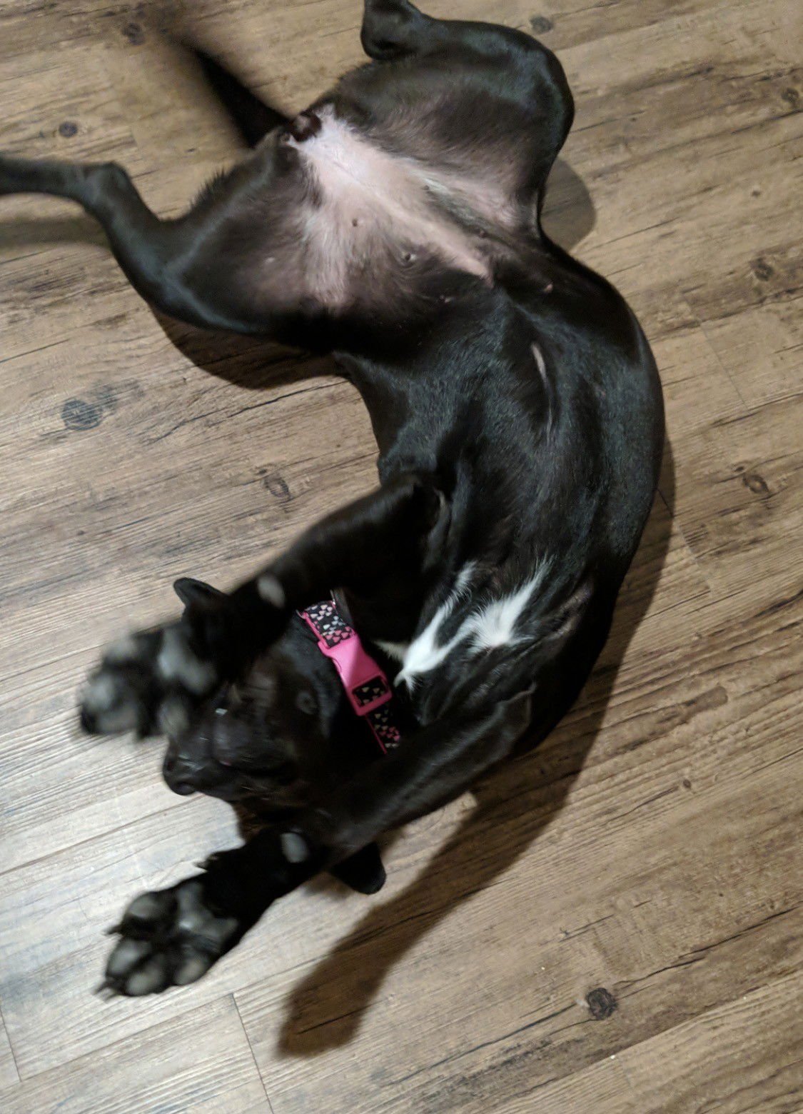 Stoney *Courtesy Post* (New York City NY) - Photo 3