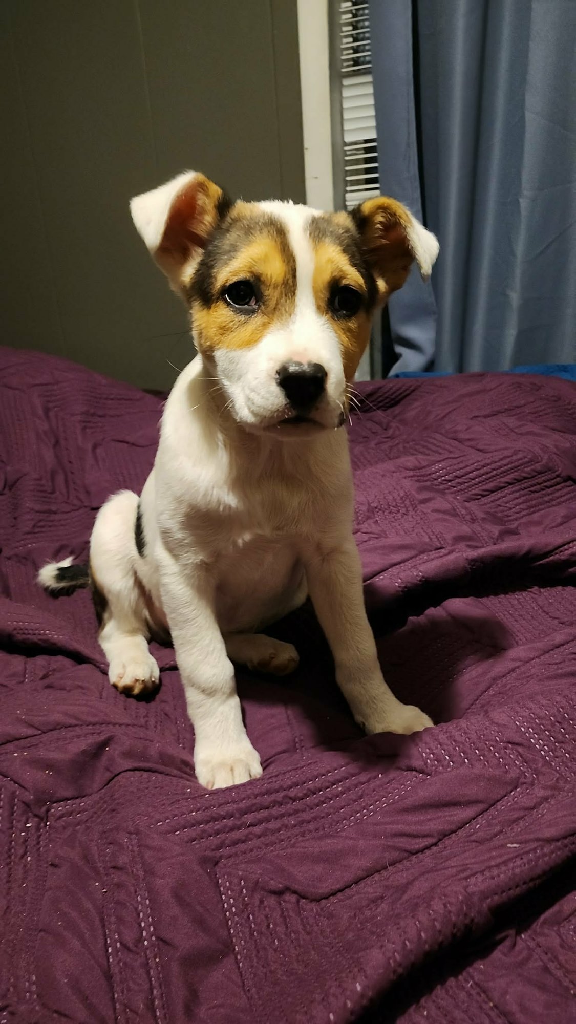 Abby (NY-Sarah) - Photo 3