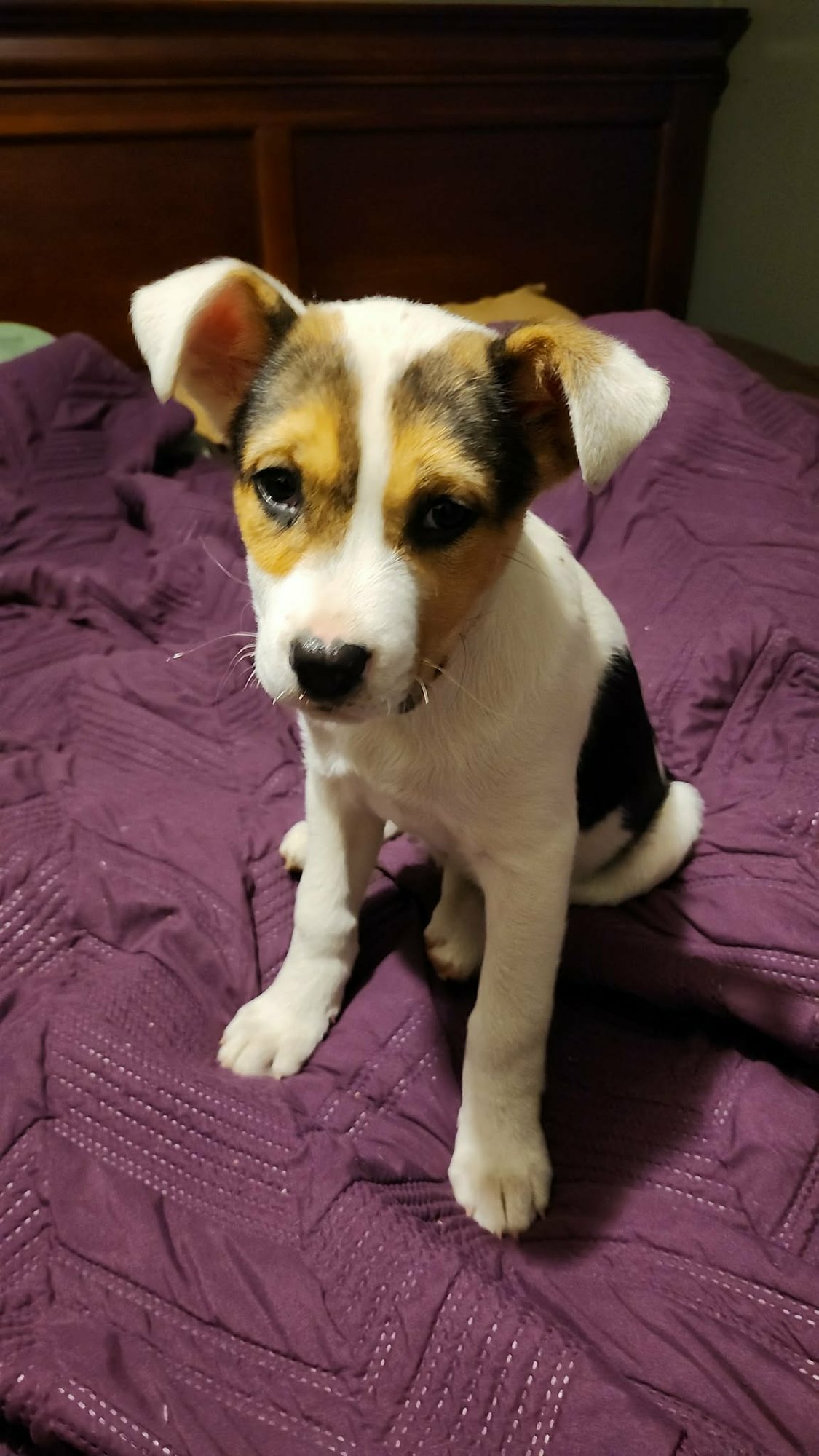 Abby (NY-Sarah) - Photo 4