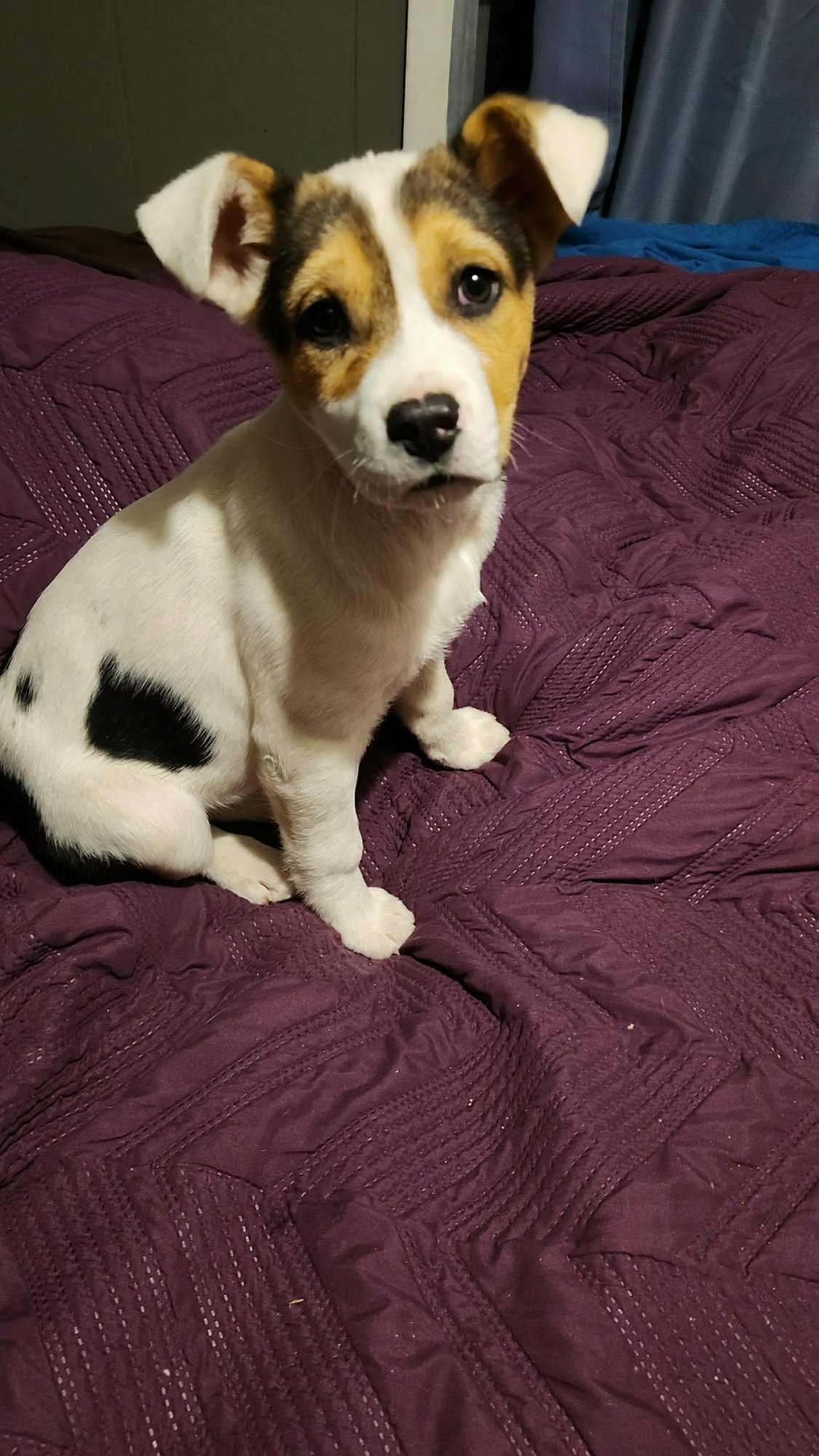 Abby (NY-Sarah) - Photo 5