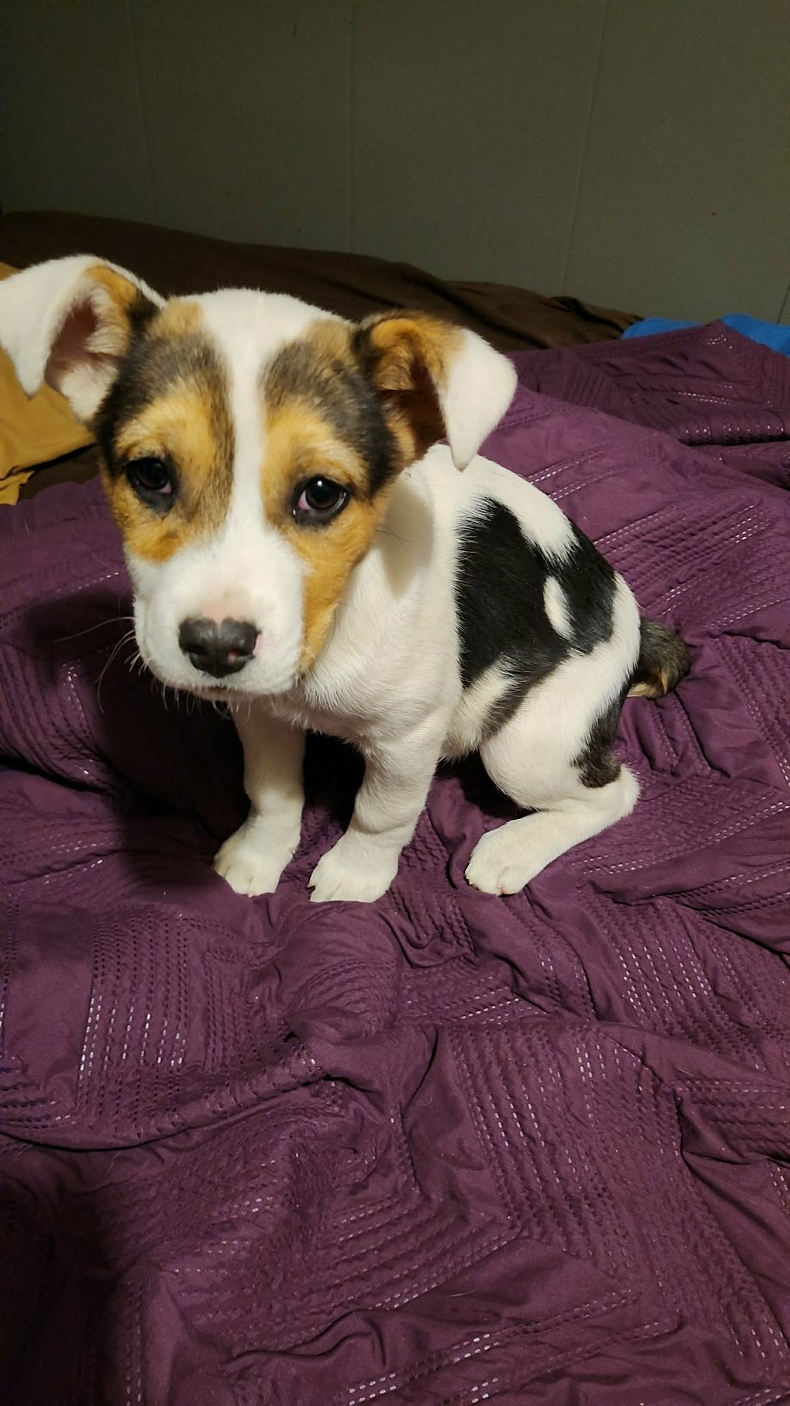 Abby (NY-Sarah) - Photo 6