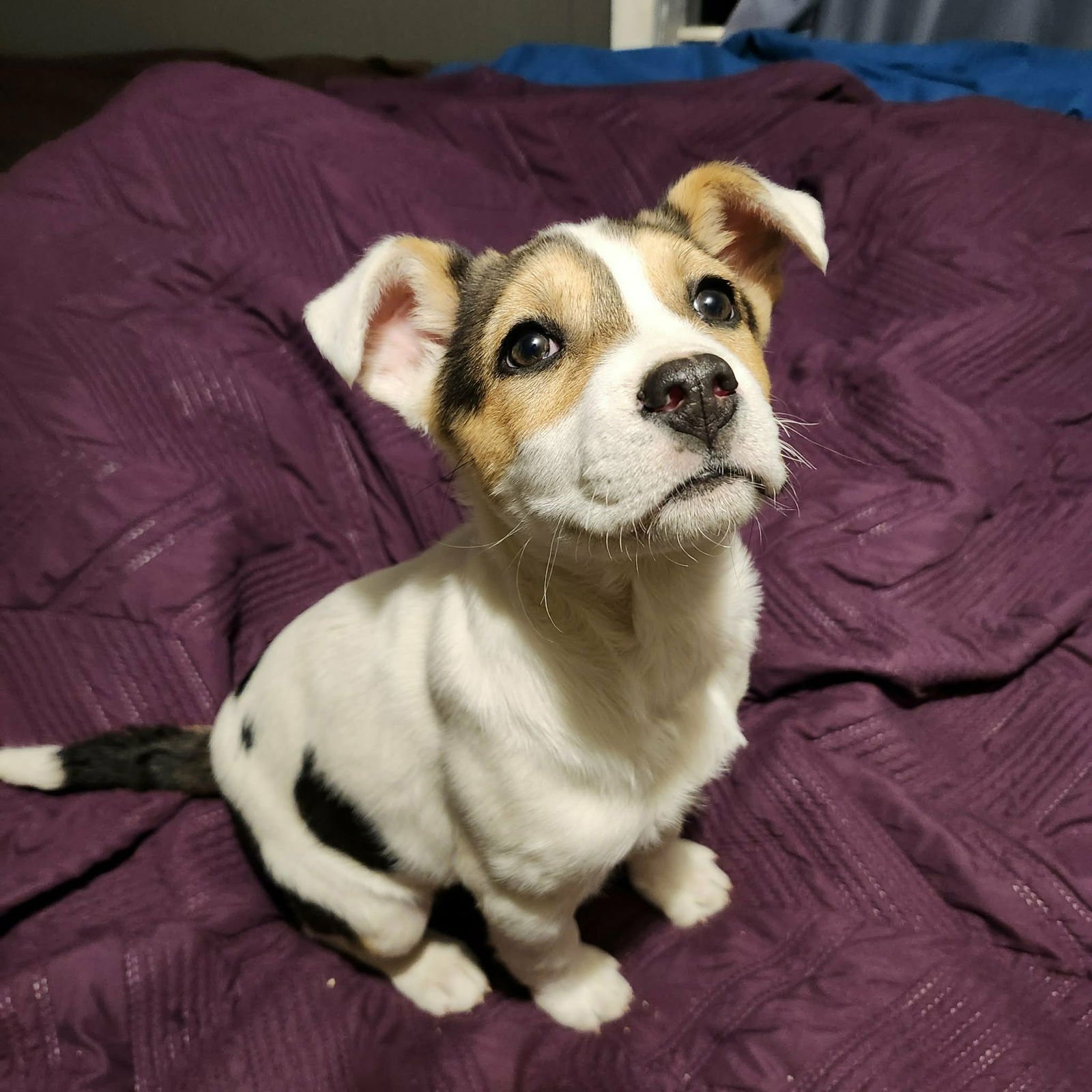 Abby (NY-Sarah) - Photo 7