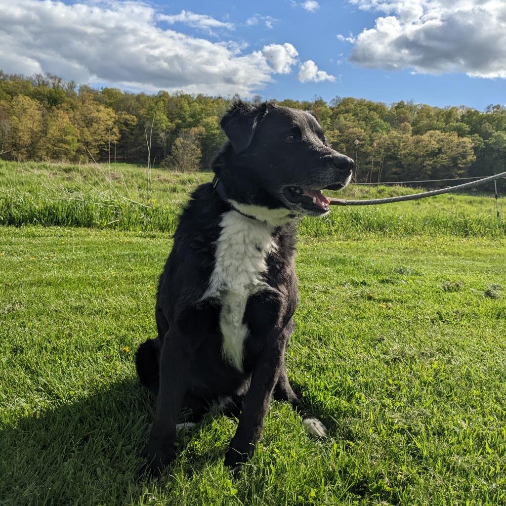 Myles *Courtesy Post* (Cortland NY) - Photo 3