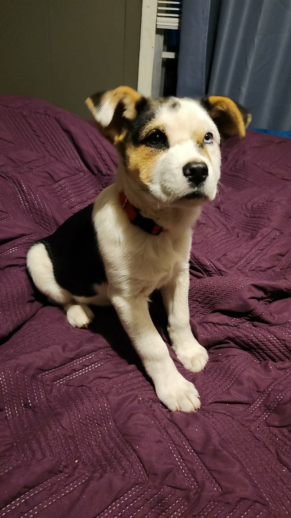 Amber (NY-Sarah) - Photo 3