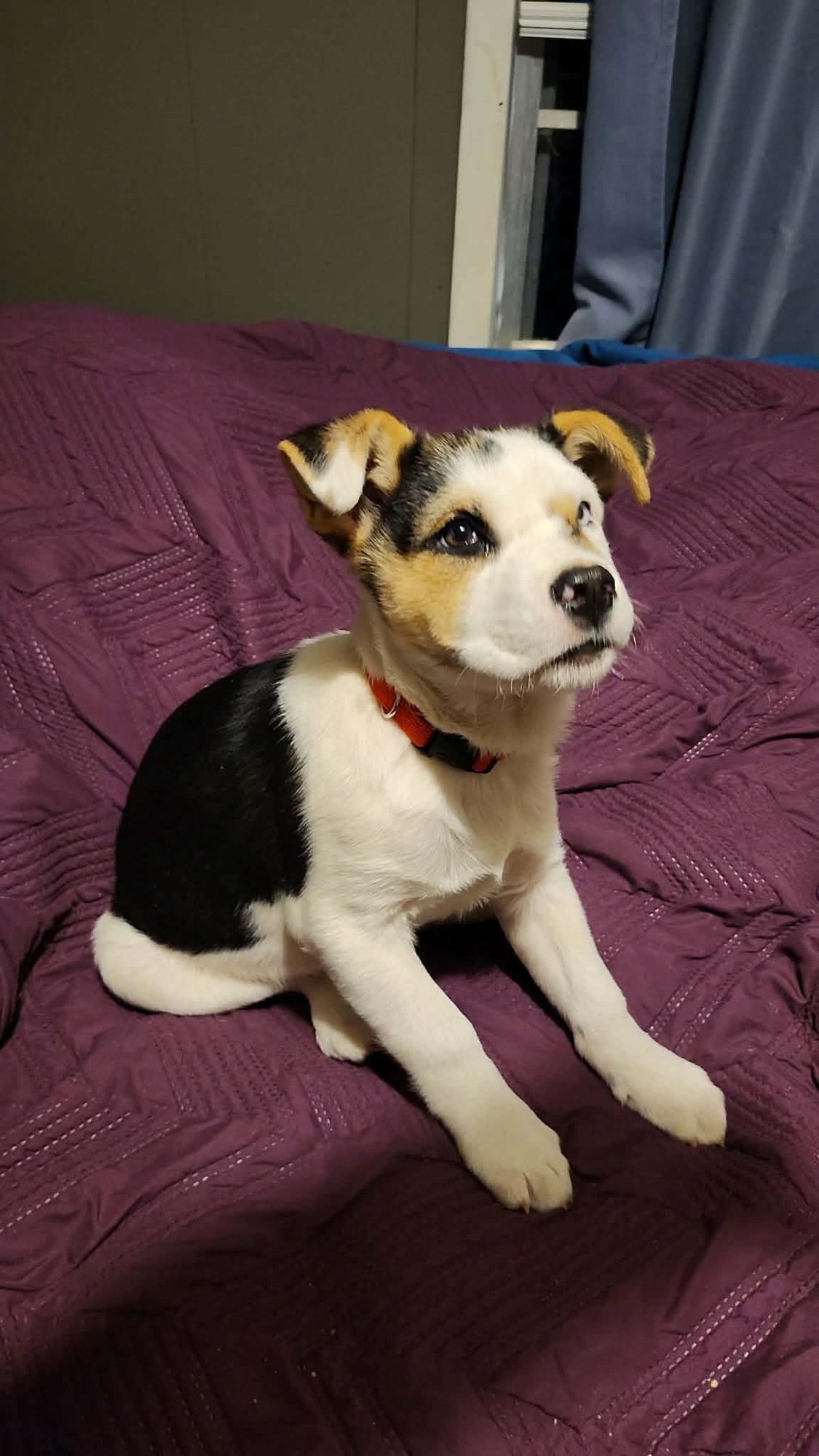 Amber (NY-Sarah) - Photo 4