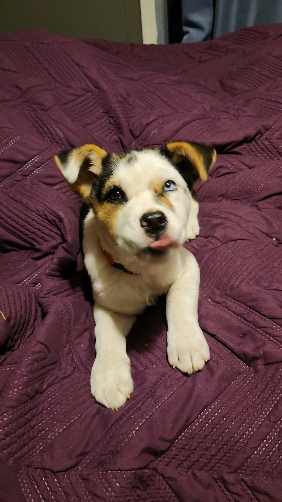 Amber (NY-Sarah) - Photo 5