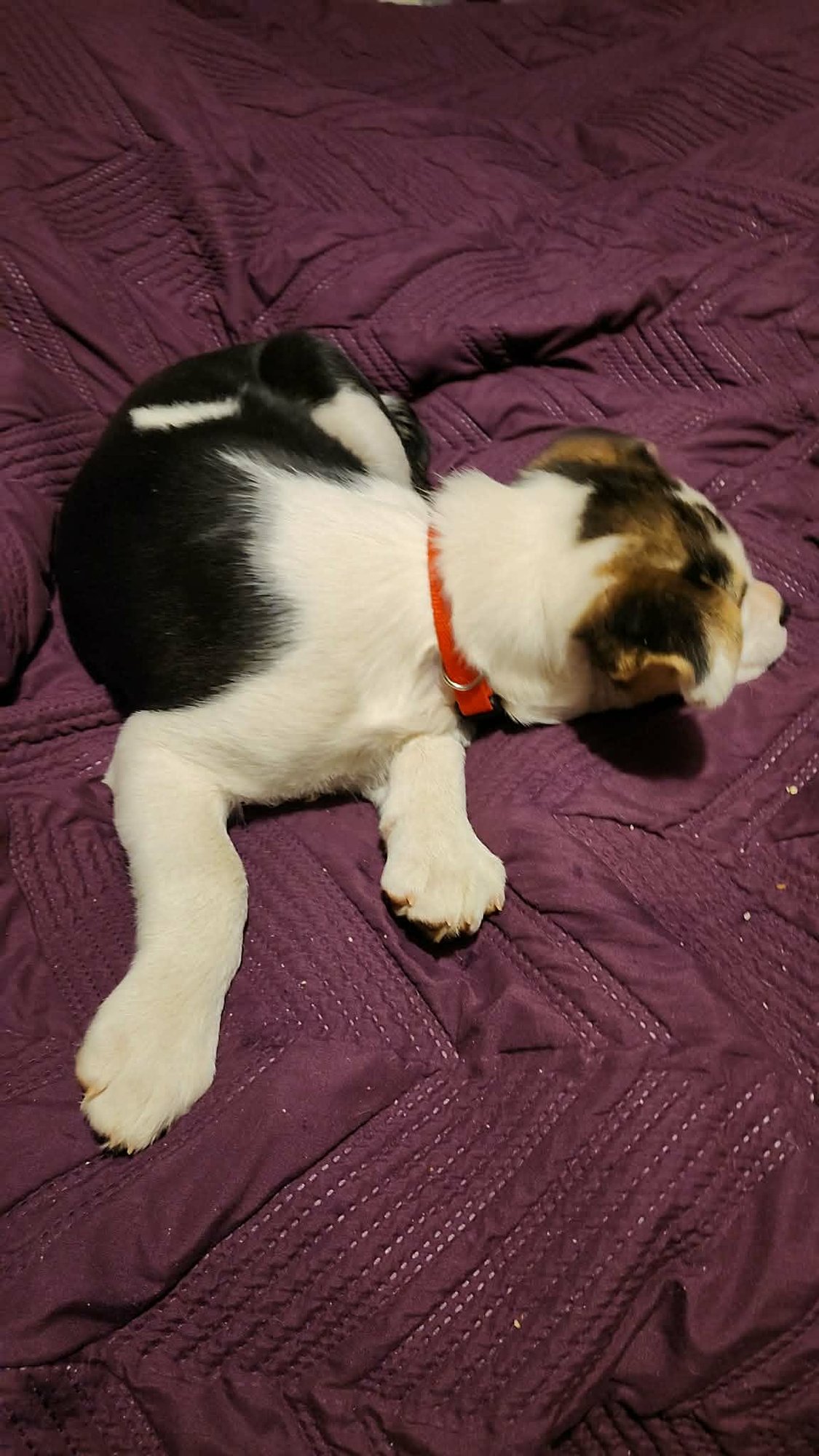 Amber (NY-Sarah) - Photo 6