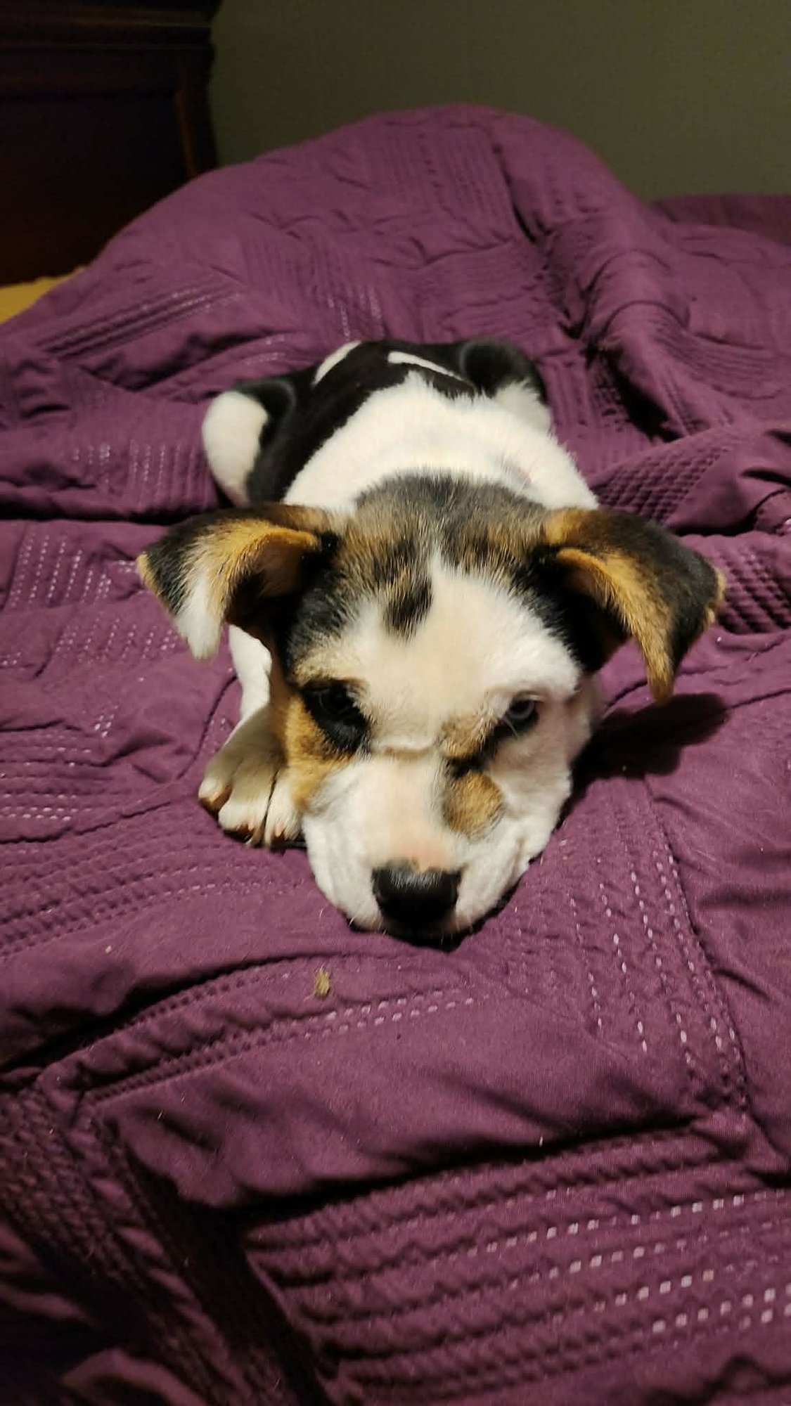 Amber (NY-Sarah) - Photo 7