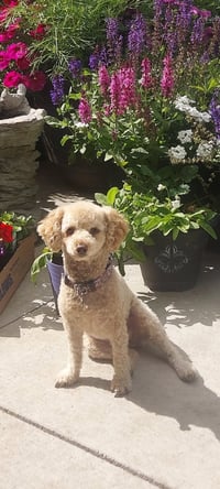 Reba - Photo 1