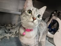 RAINBOW BRIGHT - Photo 1