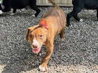 BURR - Photo 1