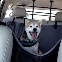 Kuma - Photo 3