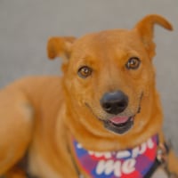 Walter - Photo 1