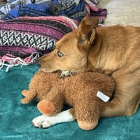 Walter - Photo 3