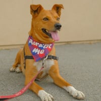 Walter - Photo 4