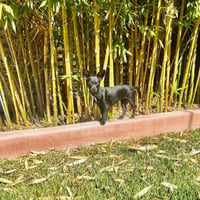 Smidge - Photo 3