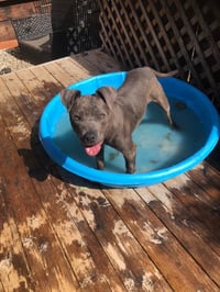 Norah - Photo 3