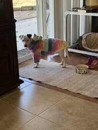 Squeaky - Photo 2