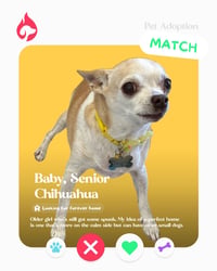 Baby - Photo 4