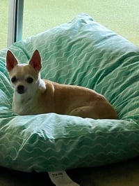 Baby - Photo 22