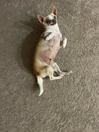 Baby - Photo 17