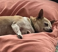 Baby - Photo 12
