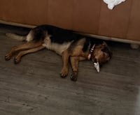 Clark ***Courtesy Post*** - Photo 5
