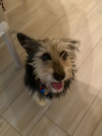 Simon - Photo 19
