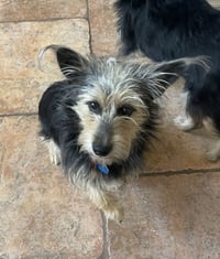 Simon - Photo 15