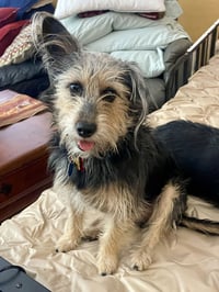 Simon - Photo 16