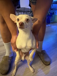 Chantu - Photo 8