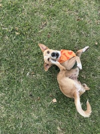 Bea - Photo 6