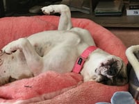 Doris - Photo 3