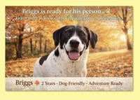 Briggs - Photo 1