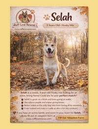 Selah - Photo 1