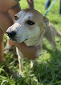 Selah - Photo 3