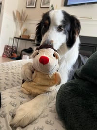 Luka (courtesy listing) - Photo 2